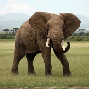 Meet your Posher, Carlee